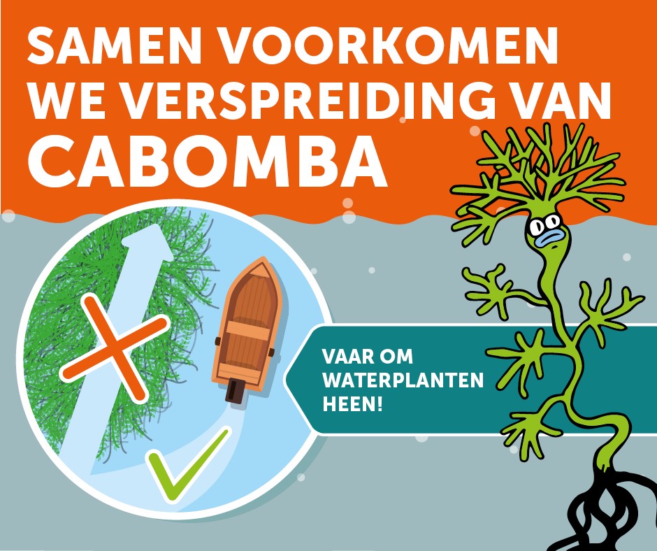 Voorkom verspreiding van cabomba